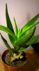 WP_20160229_18_33_33_Pro