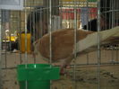 IMG_0577