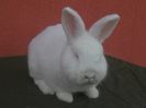 IMG_20160305_154526