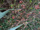 DSCN0059