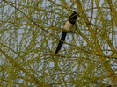 DSCN0062
