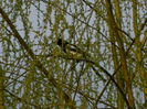 DSCN0072
