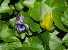 DSCN0081