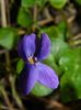 DSCN0087