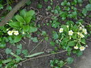 DSCN0094