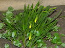 DSCN0097