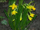 DSCN0099