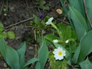 DSCN0104