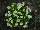 DSCN0105