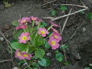 DSCN0107