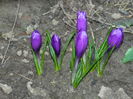 DSCN0108