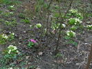 DSCN0109