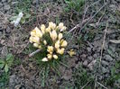 IMG_20160303_165459