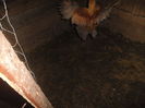DSCF7219