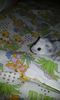 20160226_203607