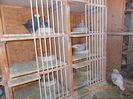 Picture 016