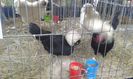 20160306_114030