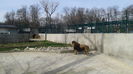 Zoo Craiova