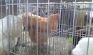 20160306_113223