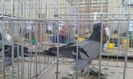 20160306_113156