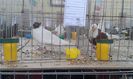 20160306_113146