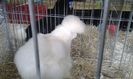 20160306_113121