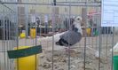 20160306_113041