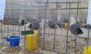 20160306_112901