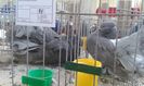 20160306_112717