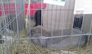 20160306_112650