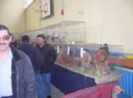 106003331_JRVQTJB3