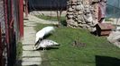 20160307_115837