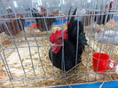 DSCN1433