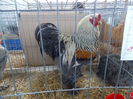 DSCN1483