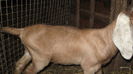 Picture 7822