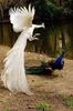 FB_IMG_1454348910157