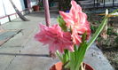 IMG_20160305_145612[1]