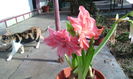 IMG_20160305_145644[1]