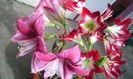 IMG_20160306_143146[1]