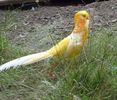 FB_IMG_1454437419836