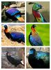 FB_IMG_1454659273441