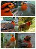 FB_IMG_1454659315832