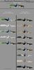 FB_IMG_1454578807298