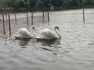 FB_IMG_1454842459564