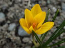 DSC05263