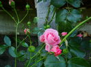 DSC09050