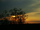 DSC09068