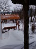 DSC02537