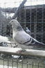 IMG_20160308_133921