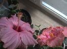 WIN_20160308_145834